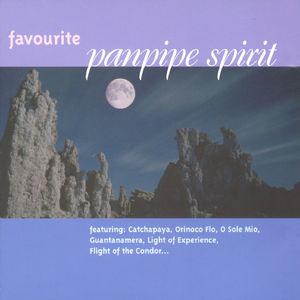 中文字幕一区二区精品人妻
