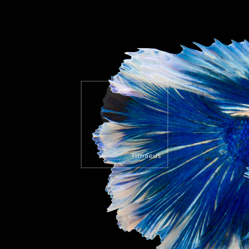 中文字幕一区二区精品人妻
